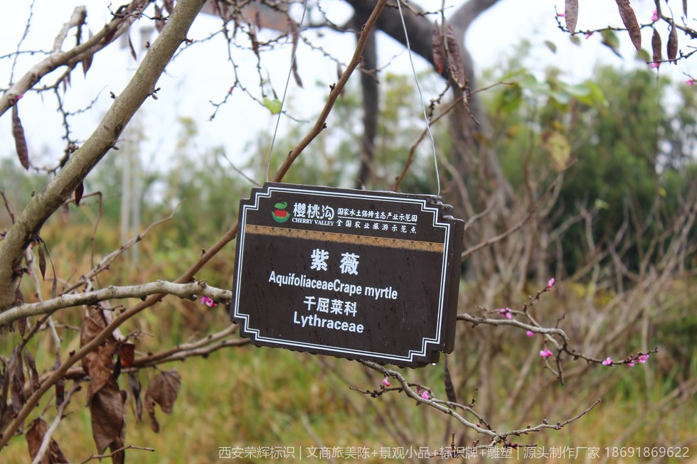 汉中西乡县樱桃沟景区标识标牌制作实拍
