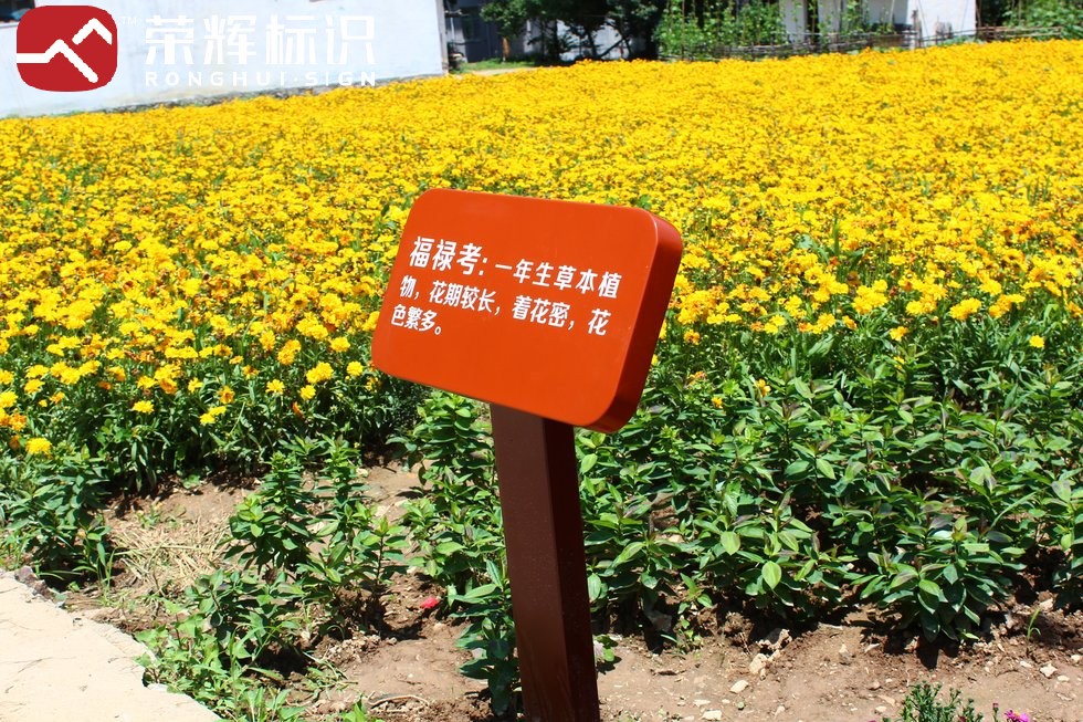 栾川庙子镇乡村旅游标识标牌项目实景图（6）